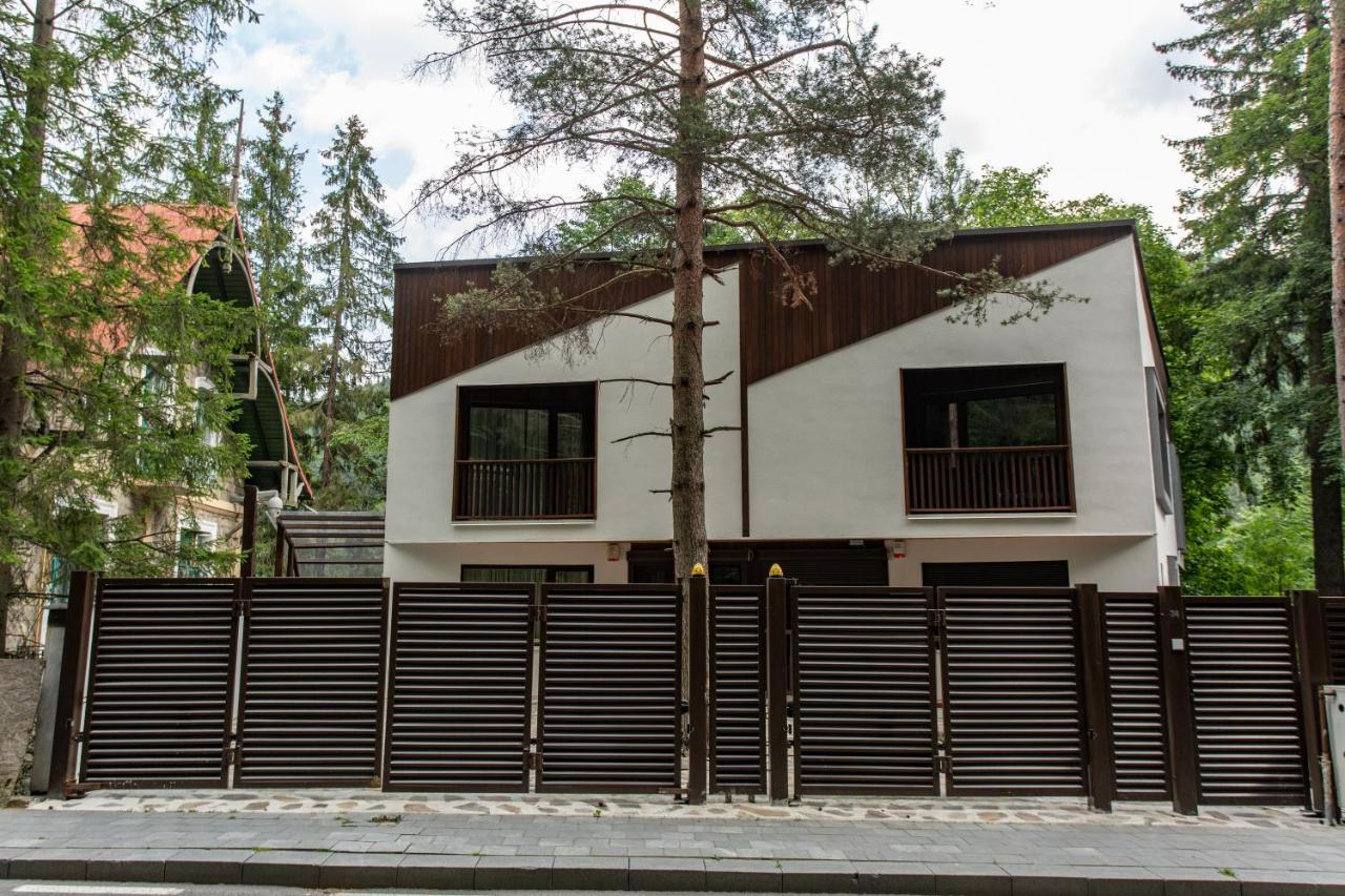 CasaDrago Sinaia , sauna si ciubar cu apa sarata Exterior foto