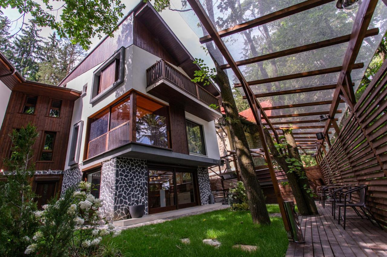 CasaDrago Sinaia , sauna si ciubar cu apa sarata Exterior foto